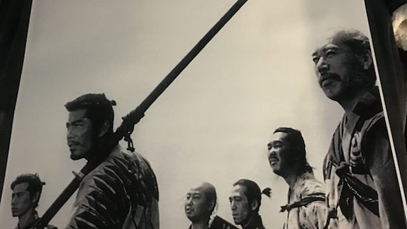 室外垂直绿化墙尺寸要求：设计要点与标准解读**