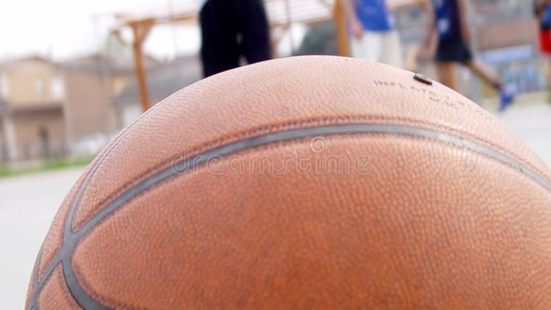 平小庭院设计报价明细：如何精准把控成本与品质**