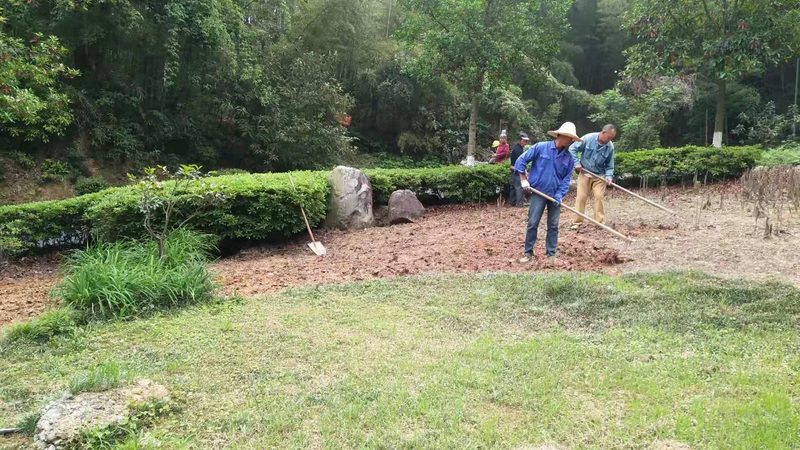 根据以上因素，庭院绿化养护价格大致在以下范围内：
