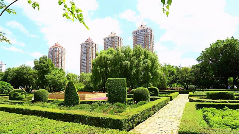 小型苗木种植加盟扶持政策解析：扶持力度与加盟要点**