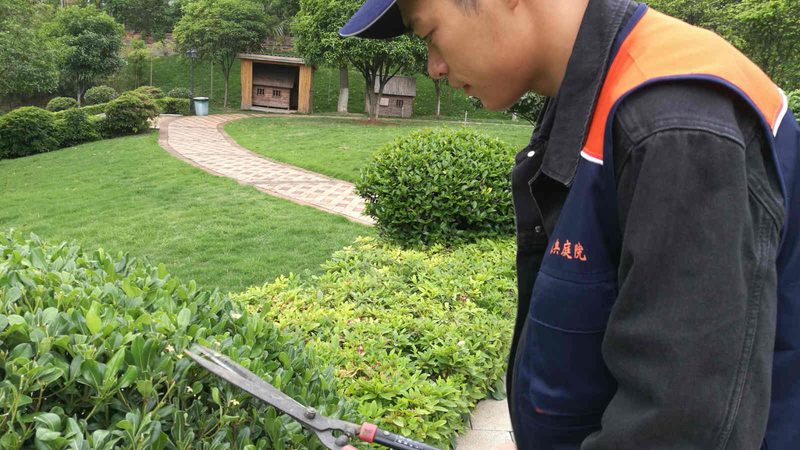 别墅花园设计施工验收标准全解析**