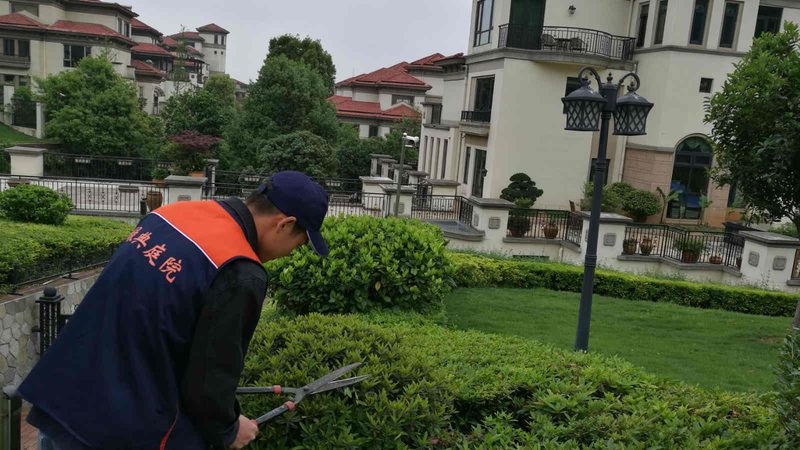 办公区植物租摆，如何做到养护无忧？**