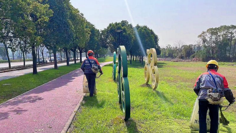 自动灌溉立体绿化墙：打造城市绿色新景观**