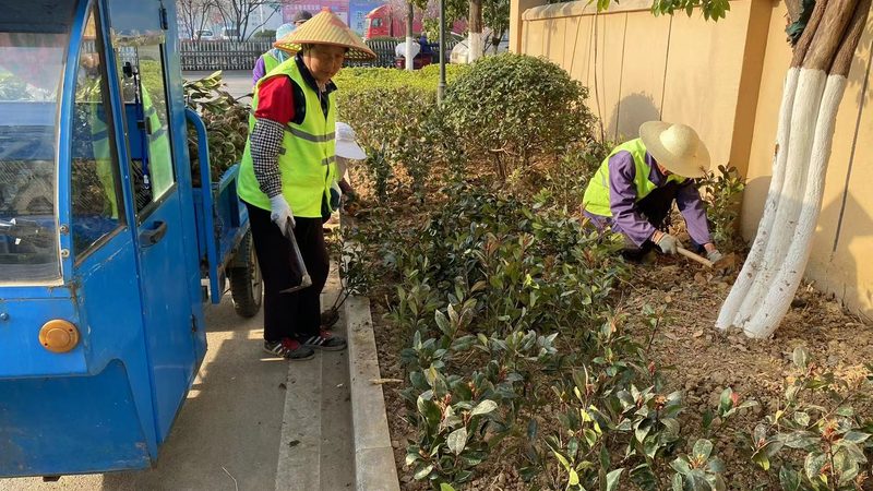 上海小区绿化园林公司报价，如何规避误区？**