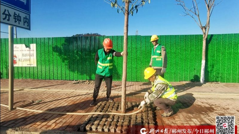 透水砖铺装，基层碎石厚度如何确定？**