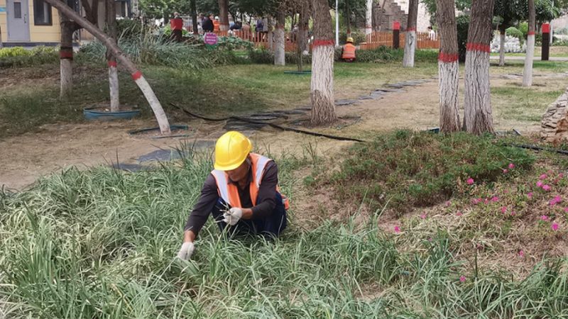 园林公司员工招聘与管理制度：关键要素与实操要点**