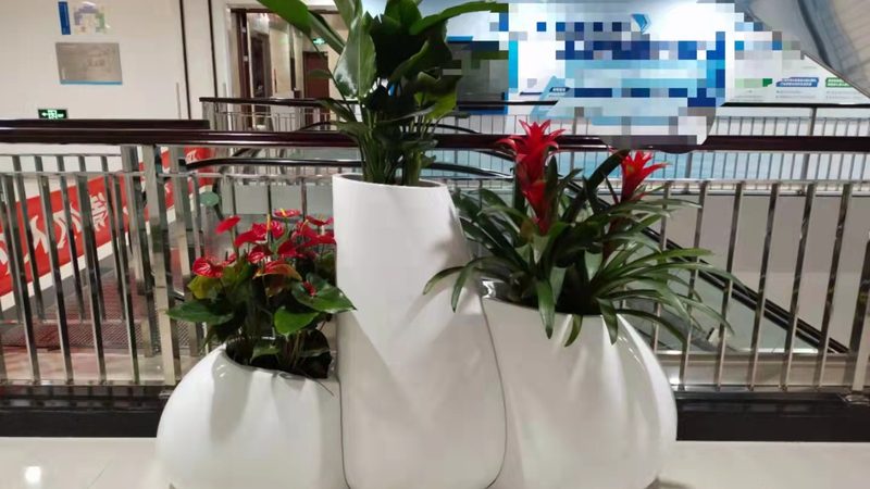 苗木种植与造林补贴政策有何区别？**