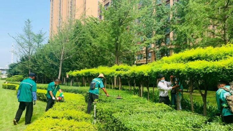 市政绿化中太阳能路灯的选择：性价比与技术的平衡**